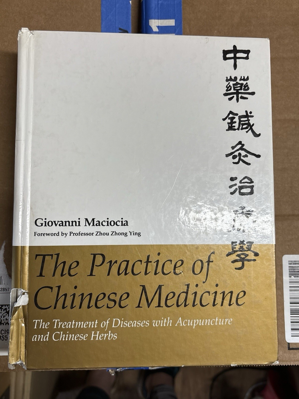Practice of Chinese Medicine : The Treatment of diseases by Giovanni Maciocia