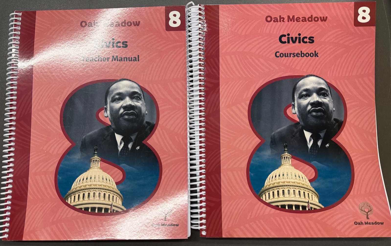 Oak Meadow Grade 8 Civics Coursebook & Teacher Manual