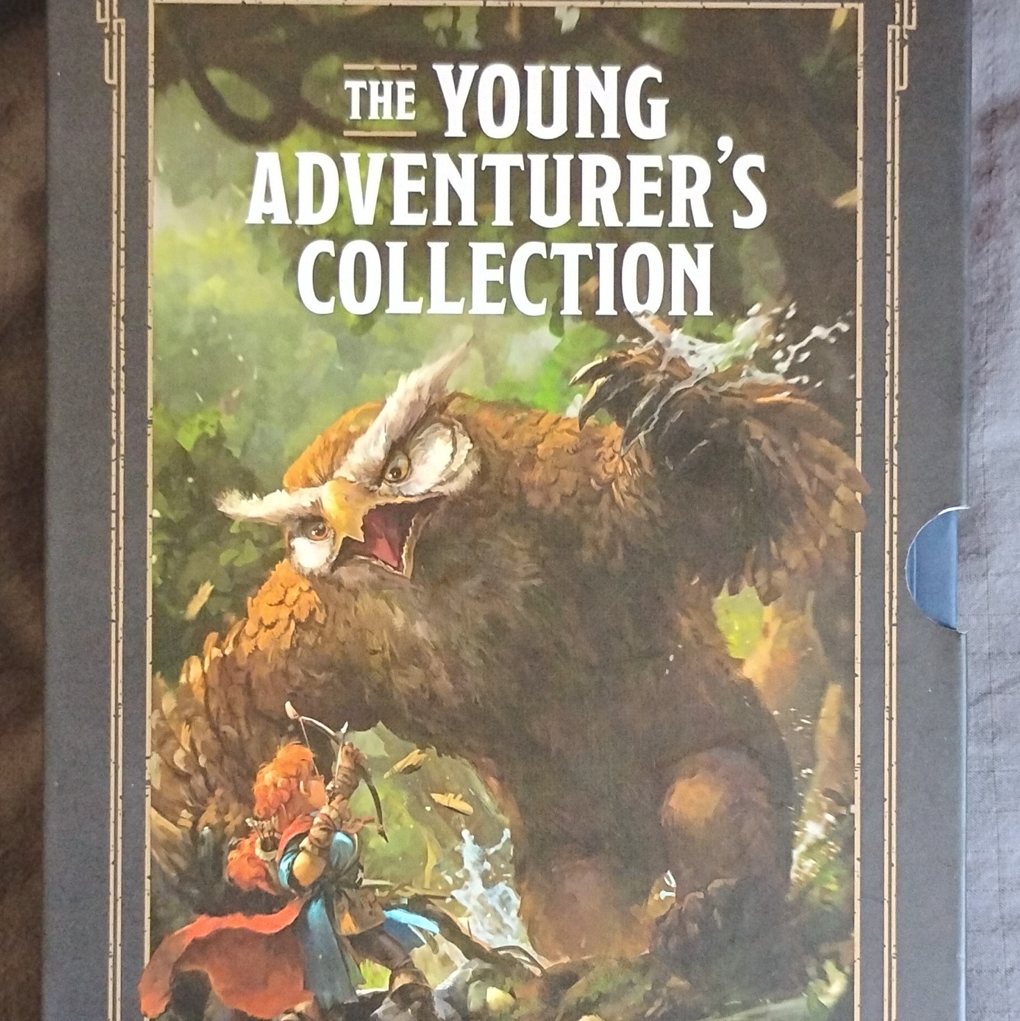 Ten Speed Press Dungeons & Dragons Young Adventurer’s Collection 4-Book Box Set