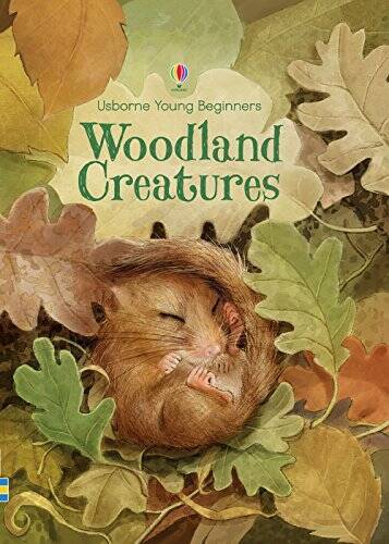 Woodland Creatures (Usborne Young Beginners) – Hardcover – VERY GOOD