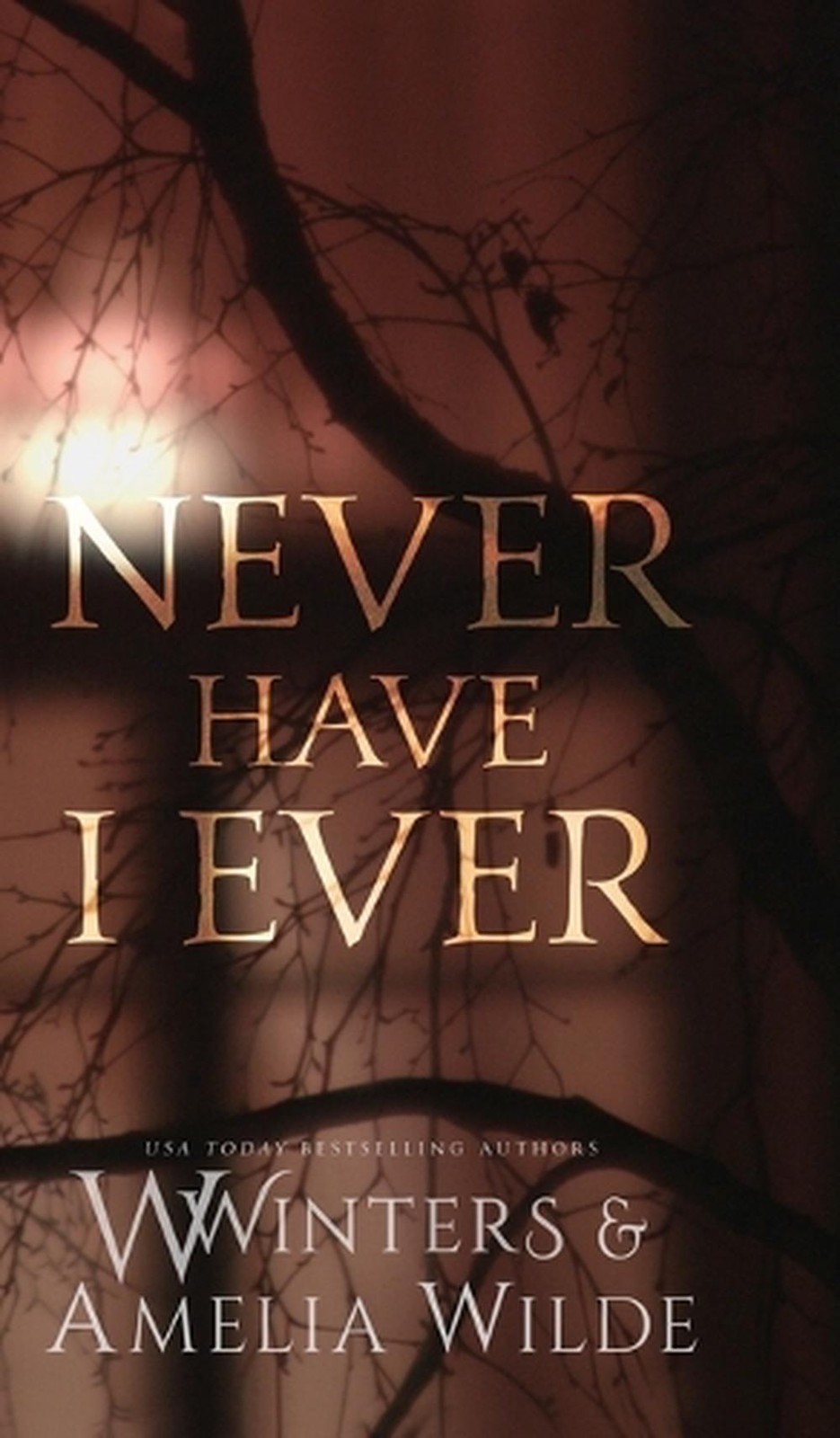 Never Have I Ever by W. Winters Hardcover Book