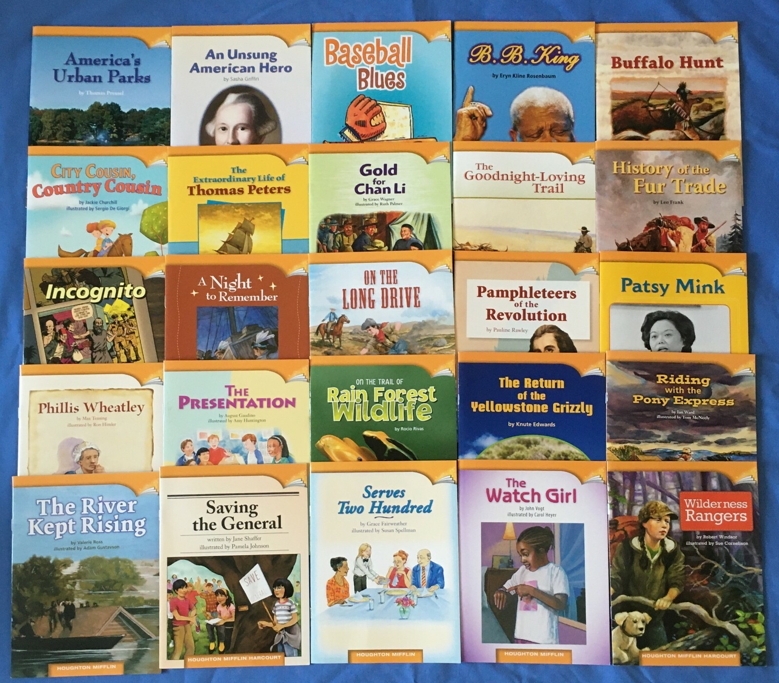 Set of 25 Books 5th Grade Leveled Readers ON Level Homeschool HMH JOURNEYS