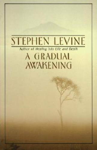 A Gradual Awakening – Paperback By Levine, Stephen – GOOD