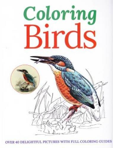 Coloring Birds – Paperback By Arcturus Publishing – GOOD