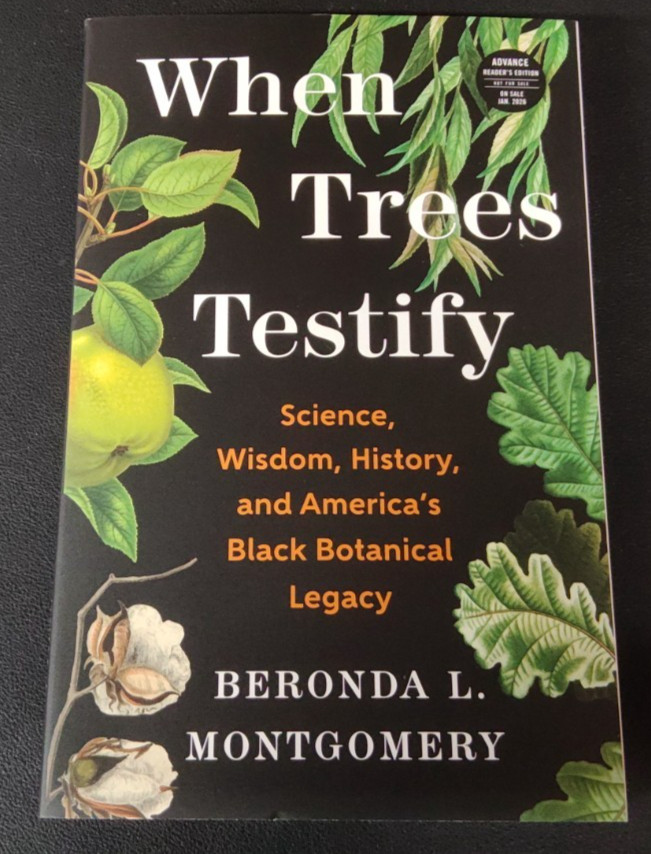 When Trees Testify by Beronda L. Montgomery ARC 1/26 Paperback