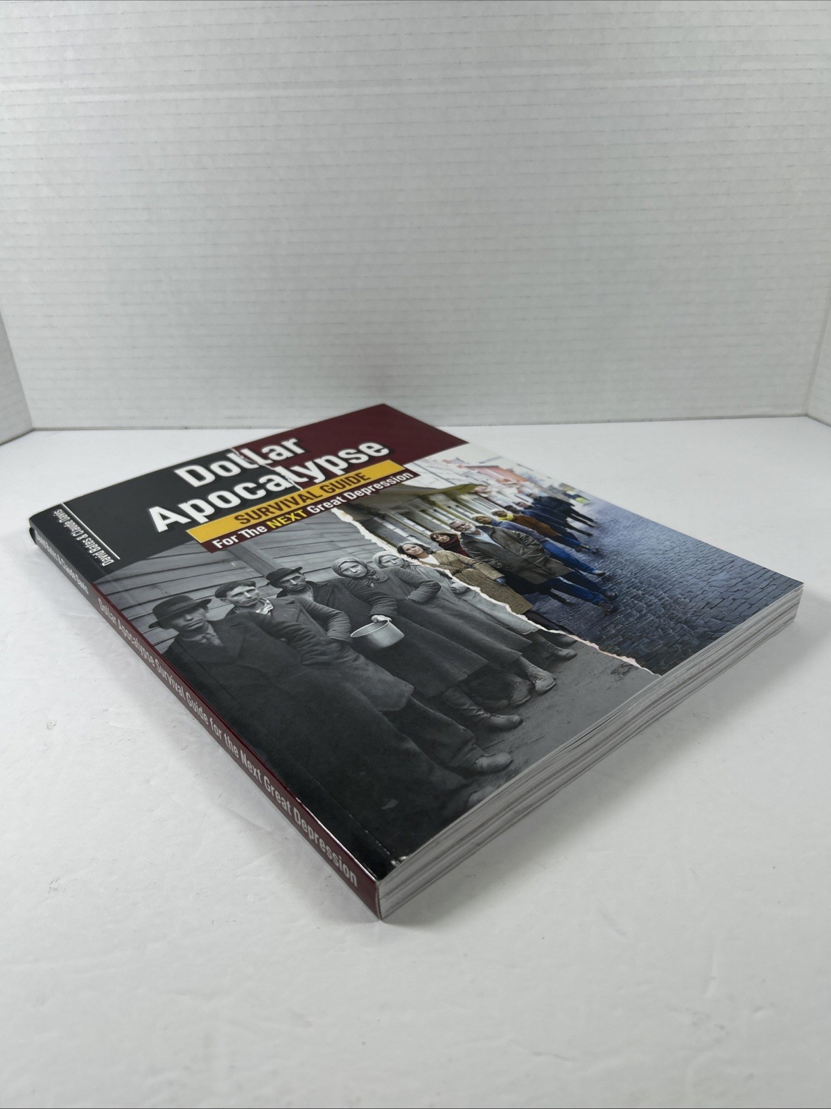 Dollar Apocalypse: SURVIVAL GUIDE for the Next Great Depression David Bates pb