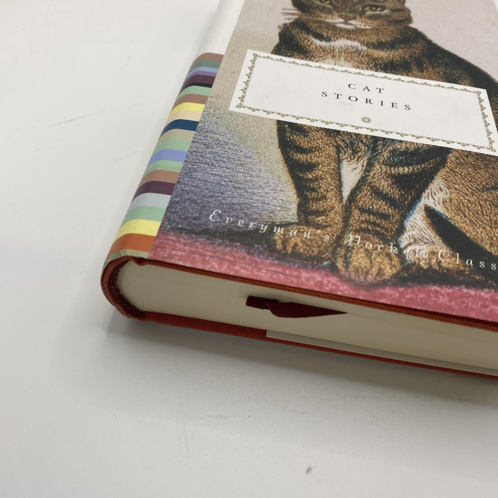 Cat Stories Diana Secker Tesdell Everyman’s Pocket Classics HC DJ Cat Fiction