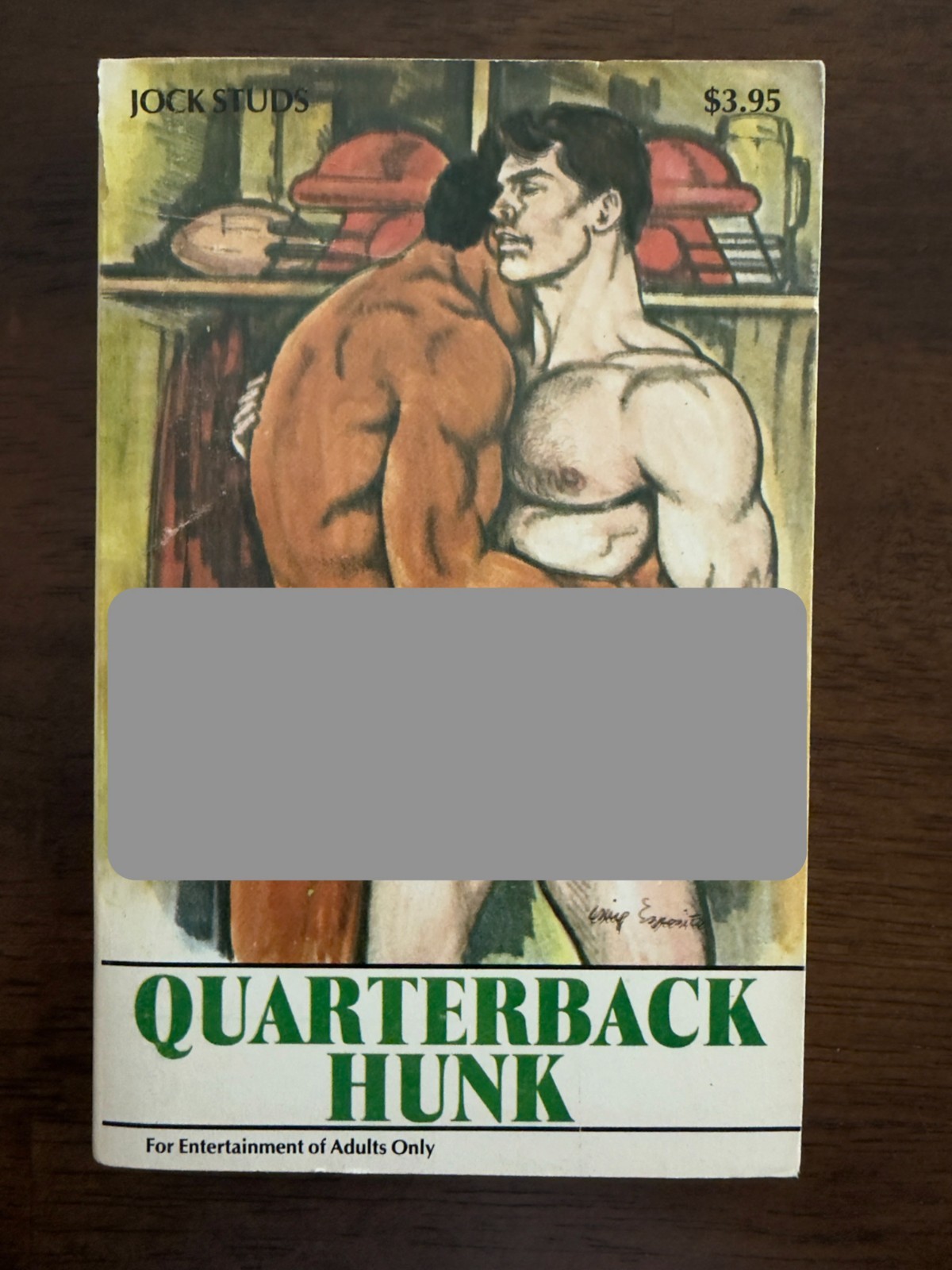 QUARTERBACK HUNK, 1988 Gay Pulp Paperback, Star Distributors, worn but good cond