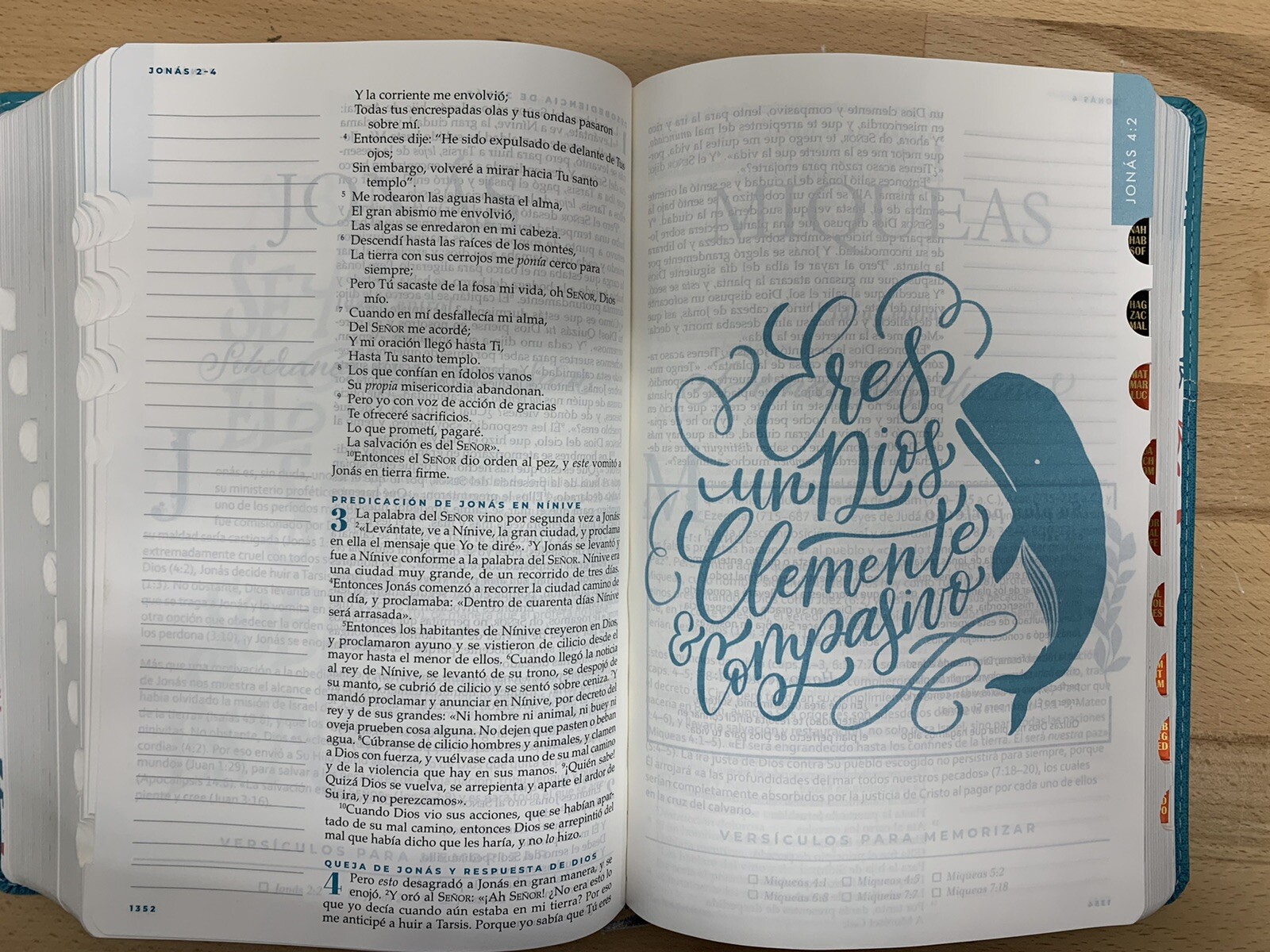 Biblia Devocional Mujer Verdadera NBLA – Duotono Aqua Nancy DeMoss con indice