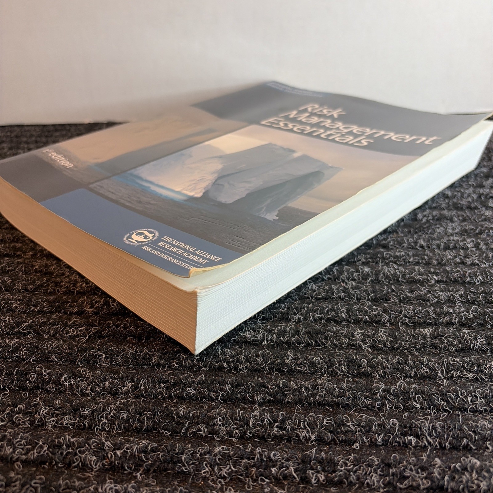 Risk Management Essentials By The National Alliance Research Academy 1st Ed