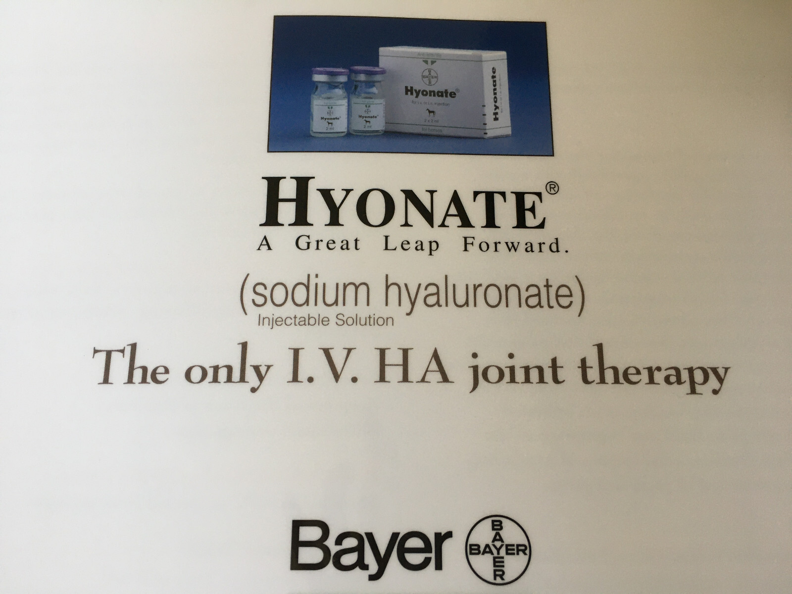 Equine Joint Disease laminated illustrations Bayer Hyonate booklet 43 x 30.5 cm