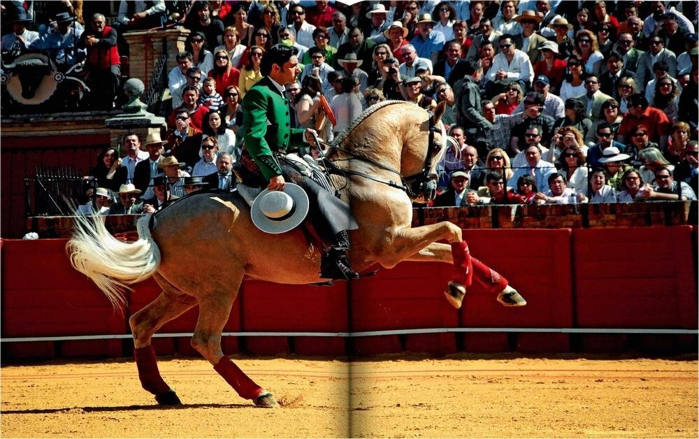 SEVILLA ARTE – NEW ASSOULINE TRAVEL BOOK for 2024 – IN STOCK, READY TO SHIP!