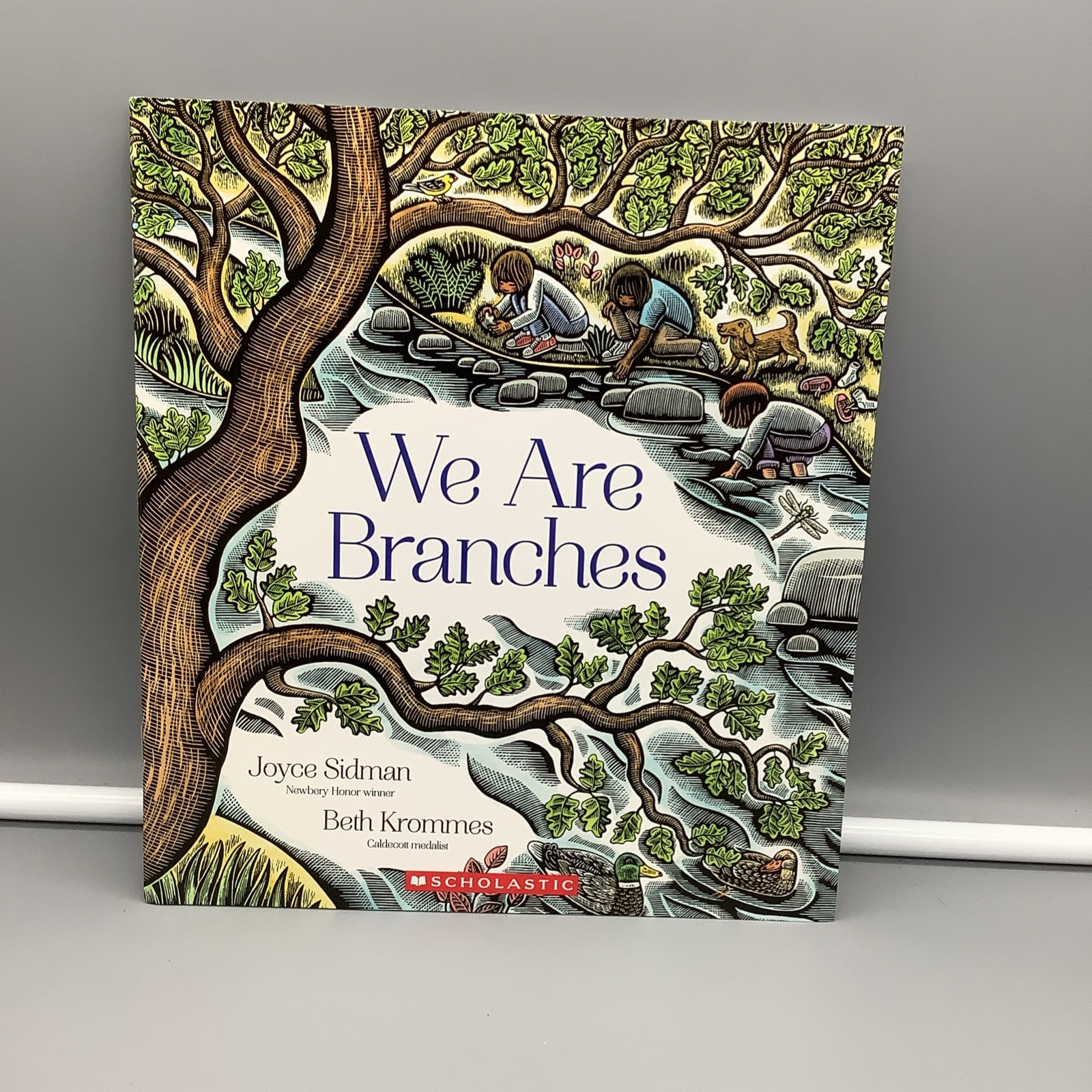 We Are Branches – By: Joyce Sidman & Beth Krommes (Paperback) Like NEW Condition