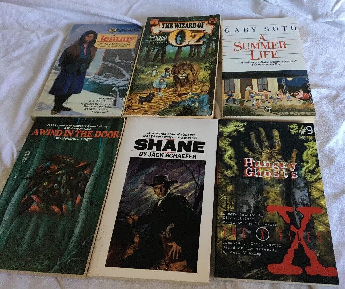 6 PBs Gr 4-7 Shane, Wizard of Oz, Wind in the Door, Jemmy, Summer Life, X-Files