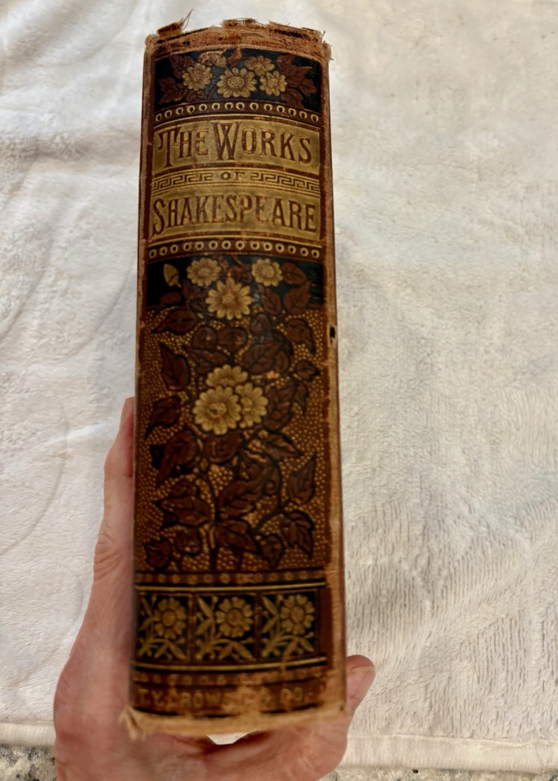 The Complete Works of Shakespeare, 1882 edition