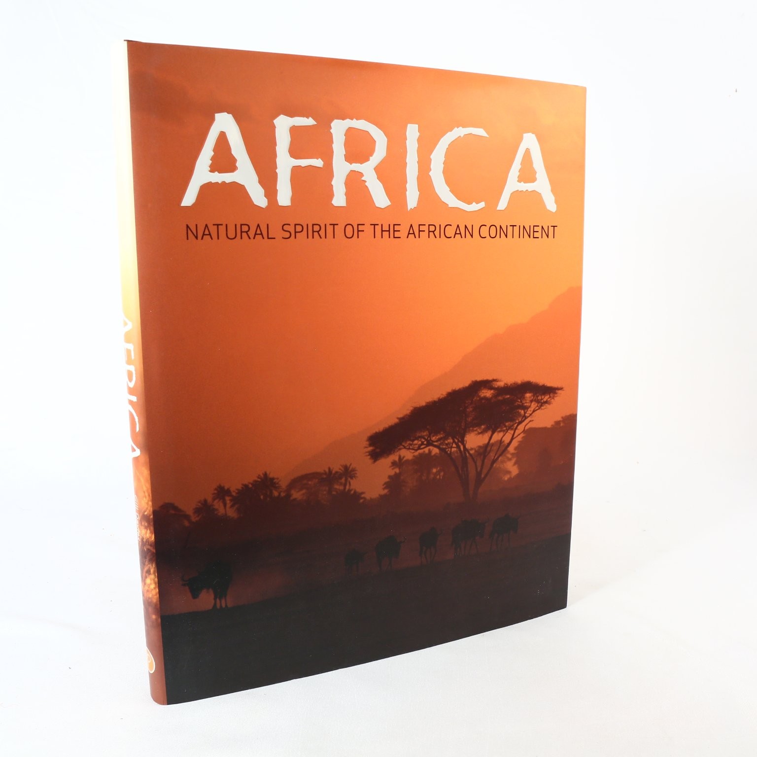 Africa Coffee Table Book Gill Davies 2007 Parragon Hardcover