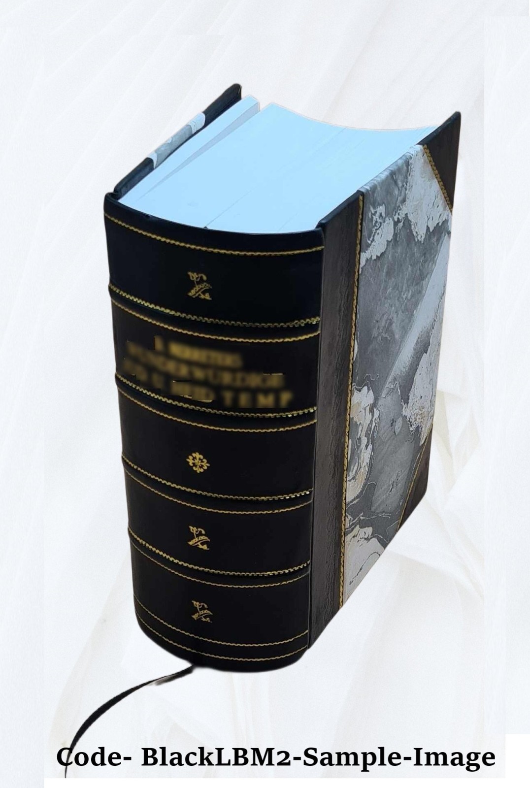 Karunamirtha Sagaram On Srutis A Treatise On Music Or Isai-Tamil [Leather Bound]