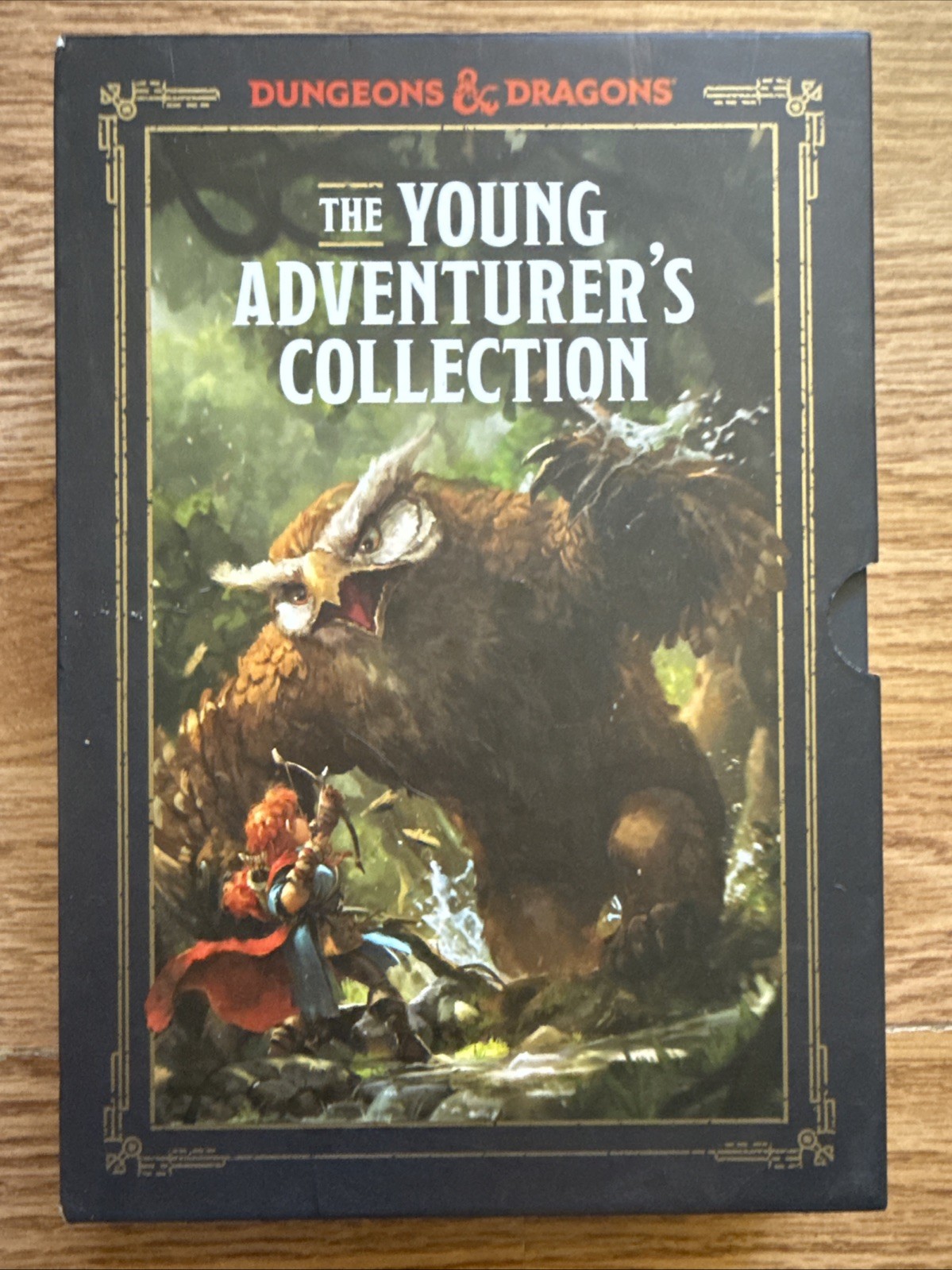 Dungeons and Dragons Young Adventurer’s Collection Box Set #1 4 Books Included