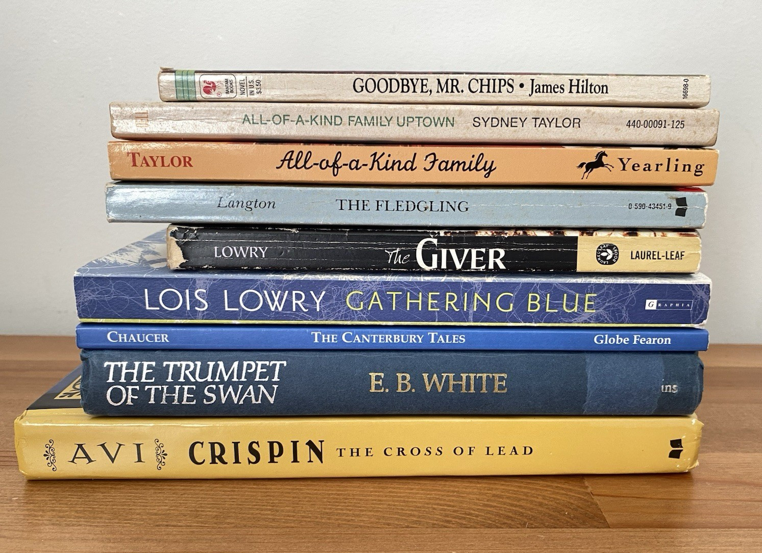 Lot Of 9 Historical & Fiction Books Novels Children homeschool classroom library