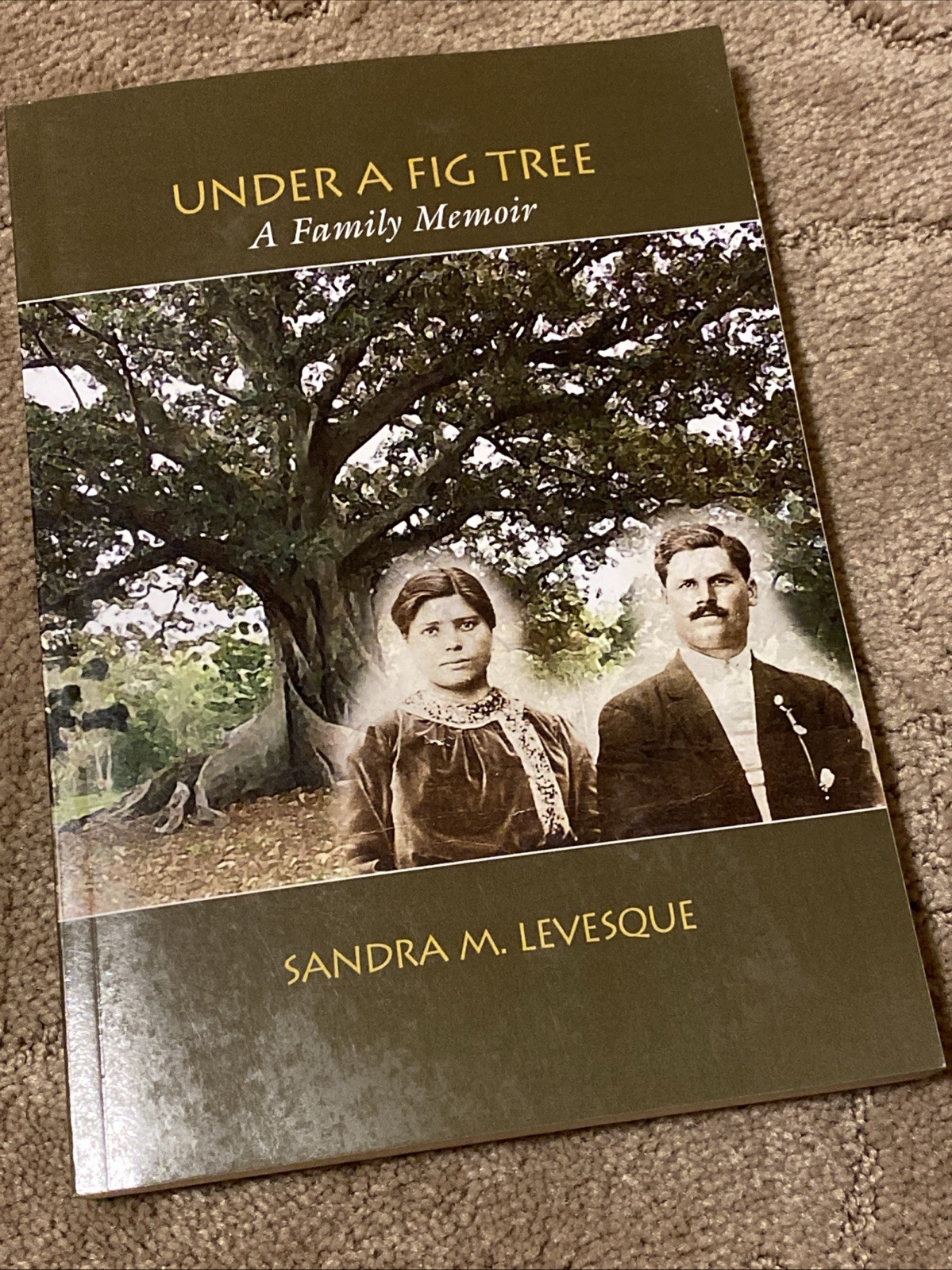 Under a Fig Tree : A Family Memoir by Sandra M. Levesque Rutland Vermont History