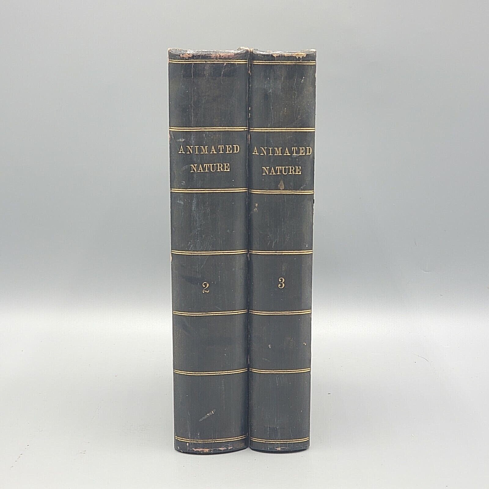 A History of the Earth and Animated Nature Vols 2 & 3 Oliver Goldsmith 1828
