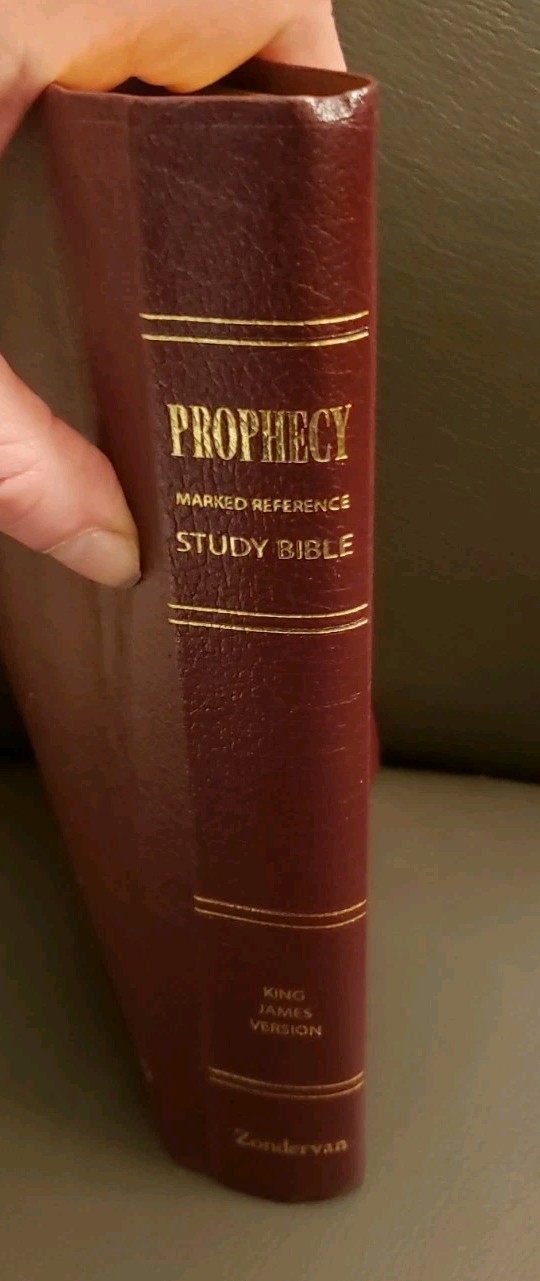 KJV Prophecy Marked Reference Study Bible Grant R. Jeffrey Brown Leather 1998