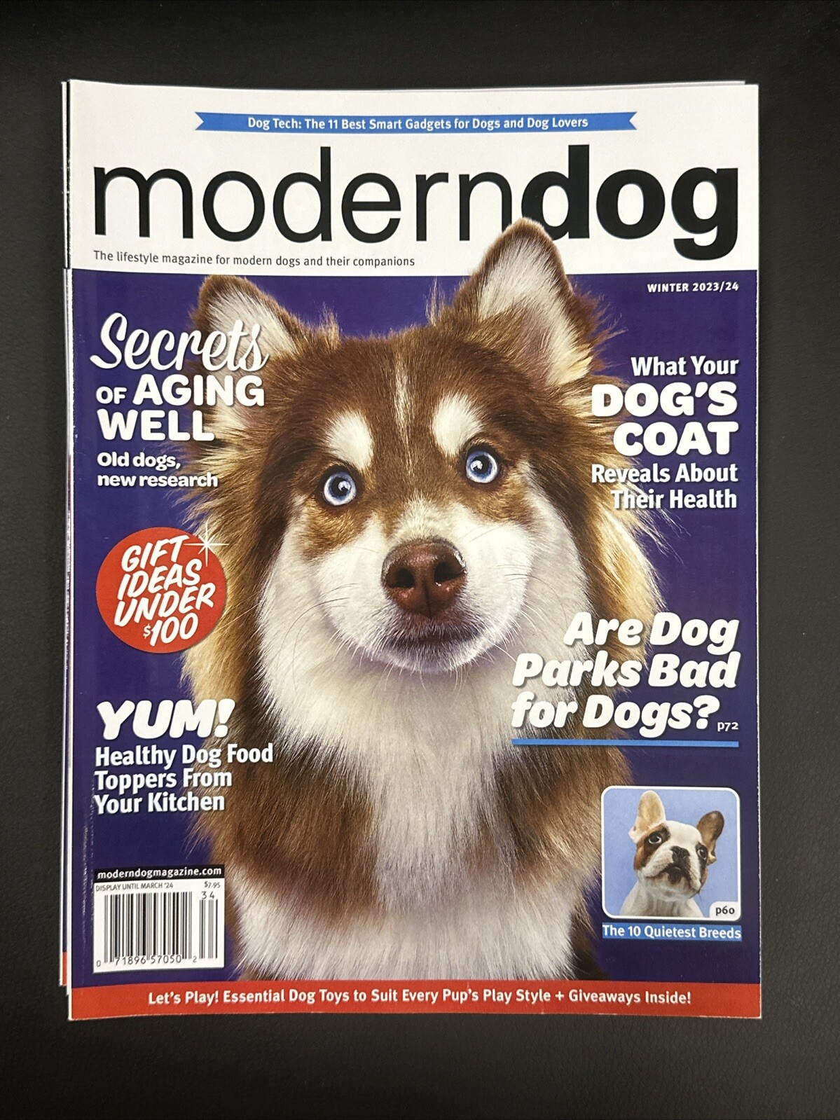 Modern Dog Magazine Winter 2023/2024 Secrets Of Aging Well