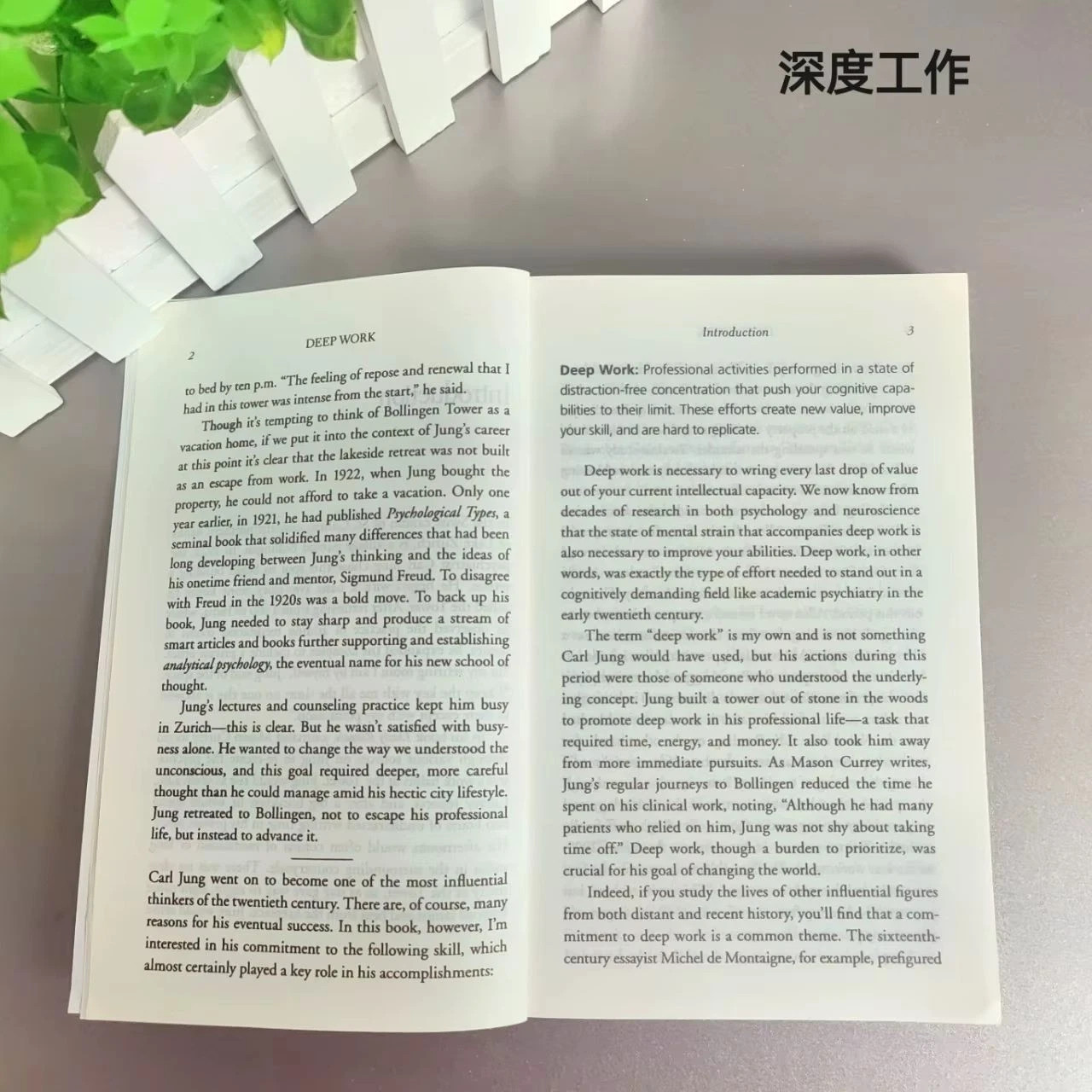 Deep Work English Book By Cal Newport Rules for Focused Success In A Distracted*
