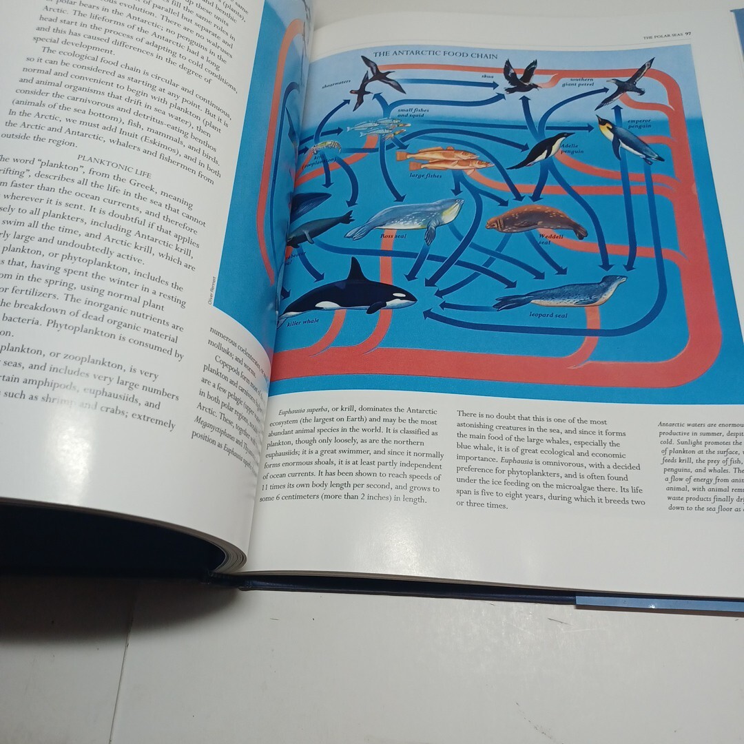 Polar Regions The Illustrated Library Of The Earth