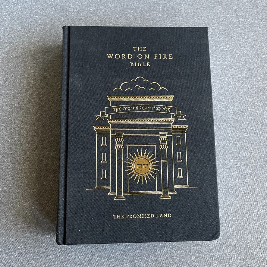 Word on Fire Bible Vol IV The Promised Land Bishop Robert Barron HC 2024