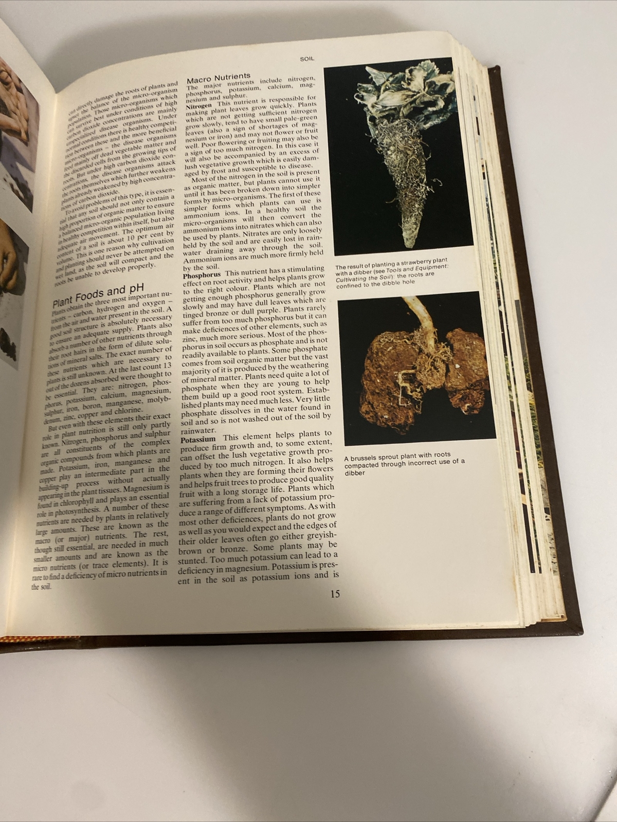 1977 Practical Gardening Encyclopedia Roy Hay abz