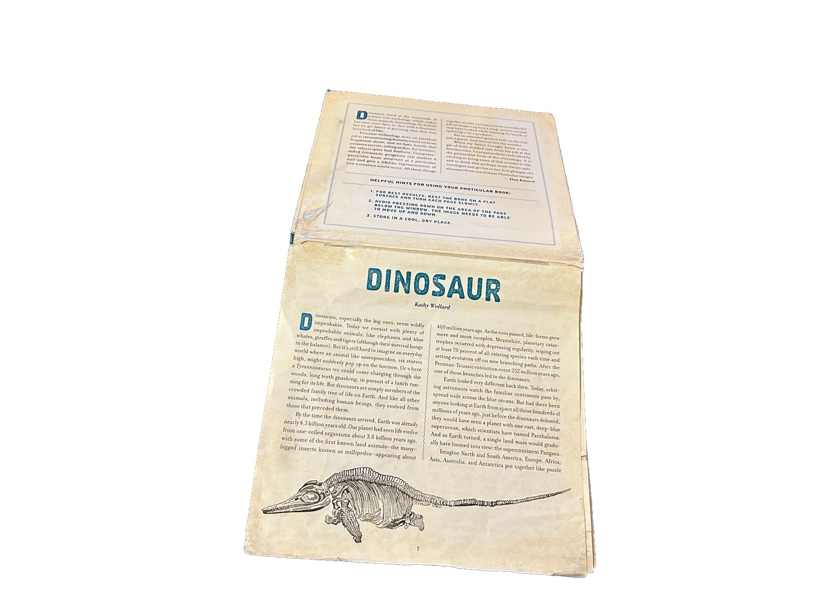 Dinosaur : A Photicular Book by Kathy Wollard and Dan Kainen 2018, Hardcover