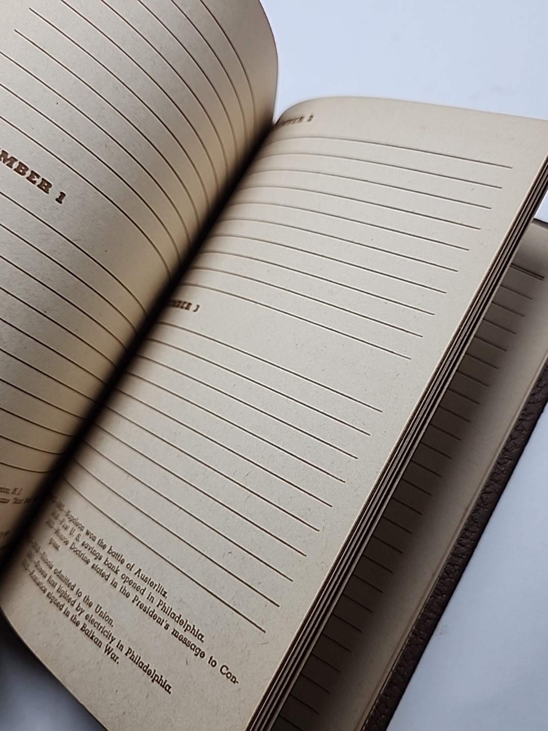 Witman Publishing 1940s Everyday Diary Journal Unused Book RARE Brown Vtg