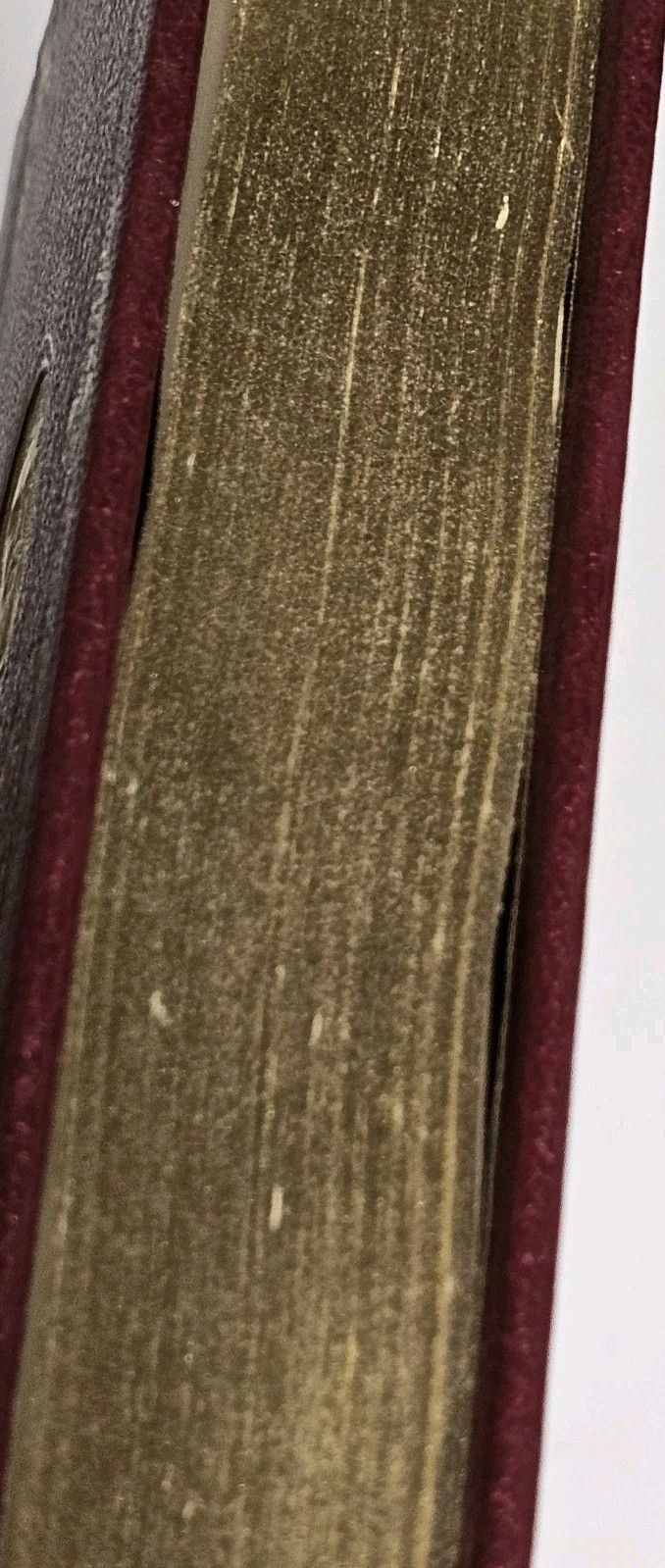 Charles Dickens Complete Works A Tale of Two Cities – Edito-Service Gilt – Book