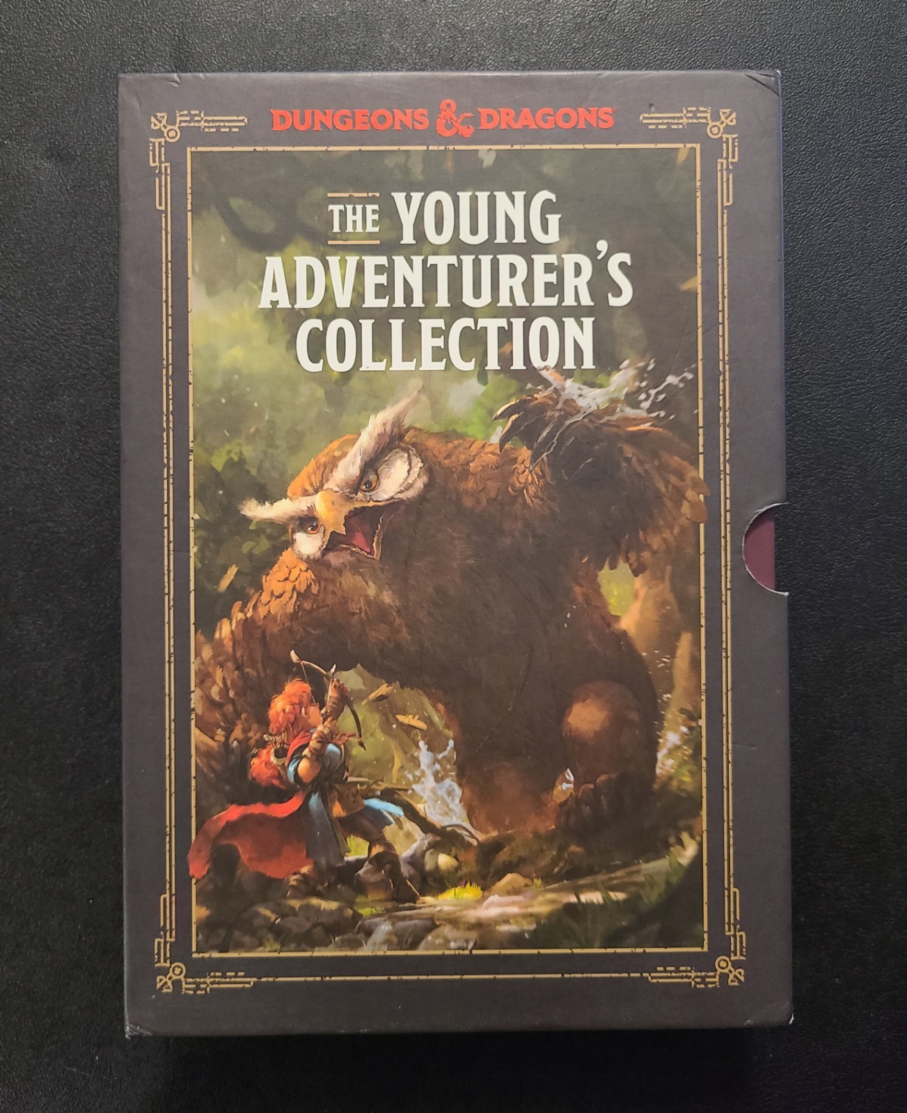 The Young Adventurers Collection Dungeons & Dragons 4-Book Boxed Set