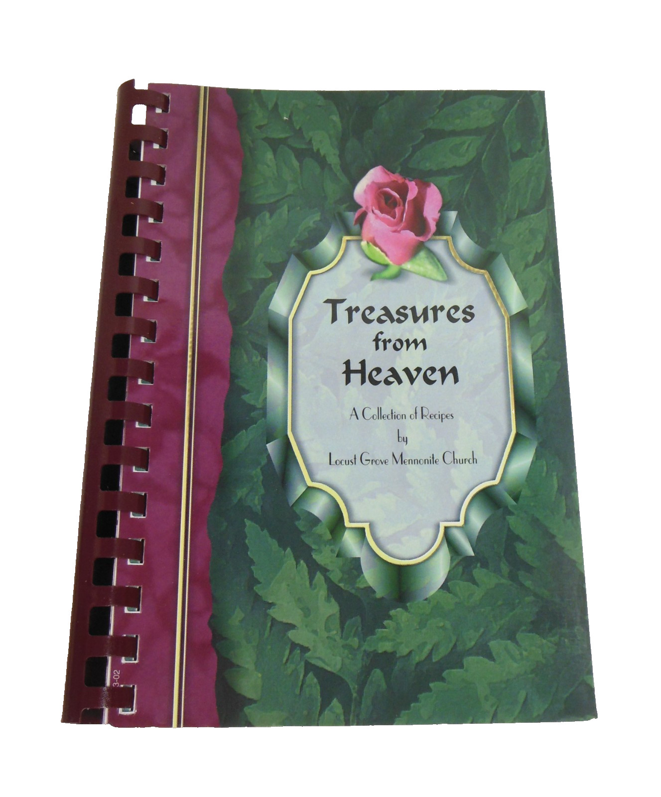 Burr Oak Michigan Locust Grove Mennonite Church Cookbook LN 360 Pages of Recipes