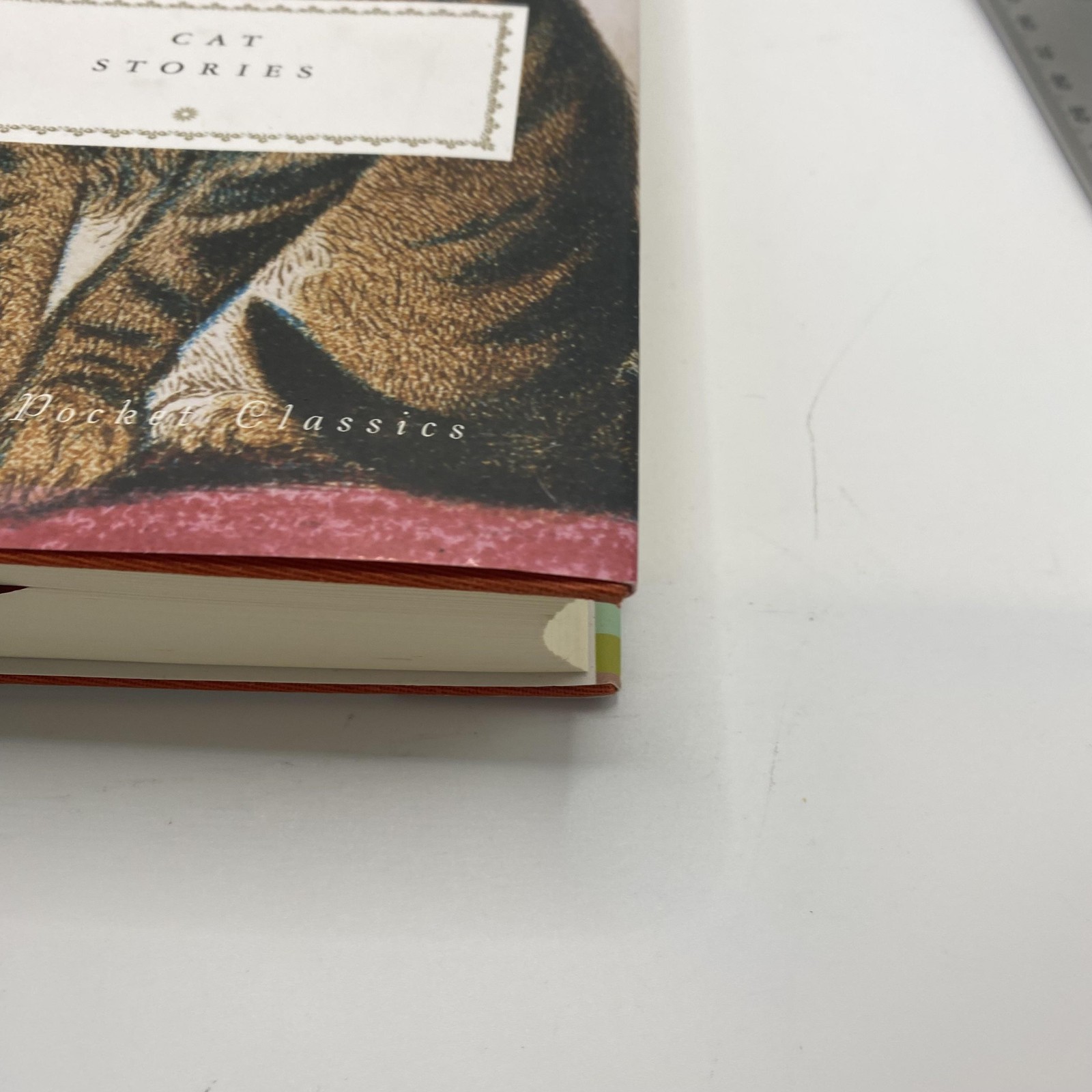 Cat Stories Diana Secker Tesdell Everyman’s Pocket Classics HC DJ Cat Fiction