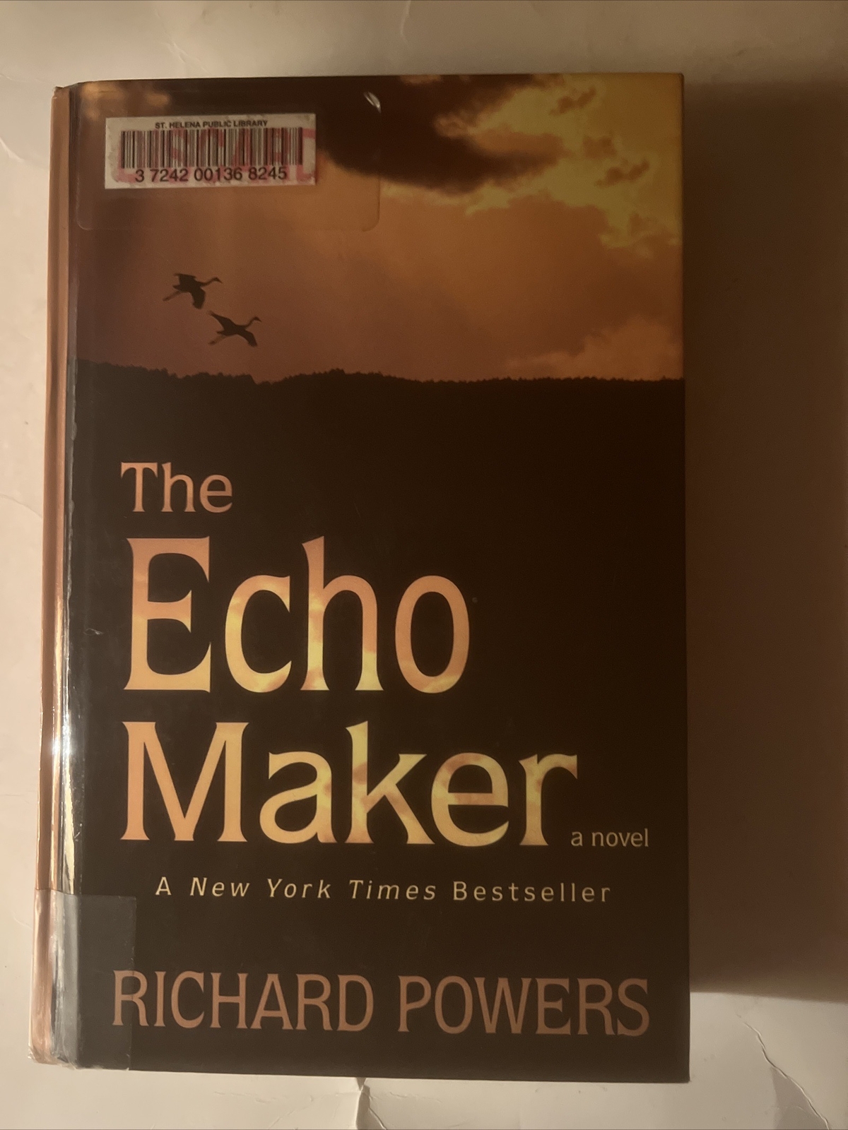 Thorndike Basic Ser.: The Echo Maker by Richard Powers (2007, Hardcover, Revised