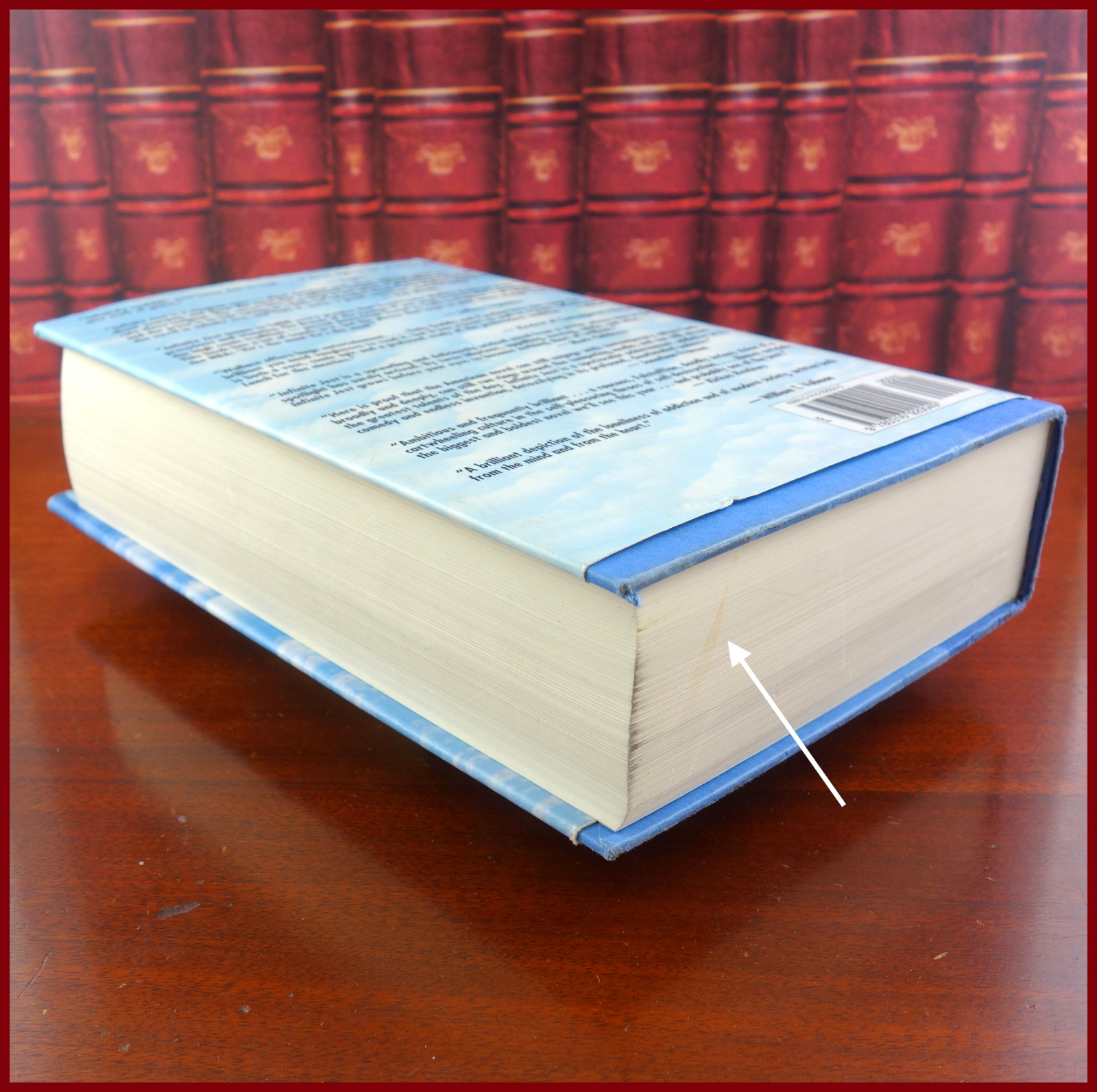 INFINITE JEST, David Foster Wallace, 1ST EDITION & PRINT, Little, Brown Co, 1996