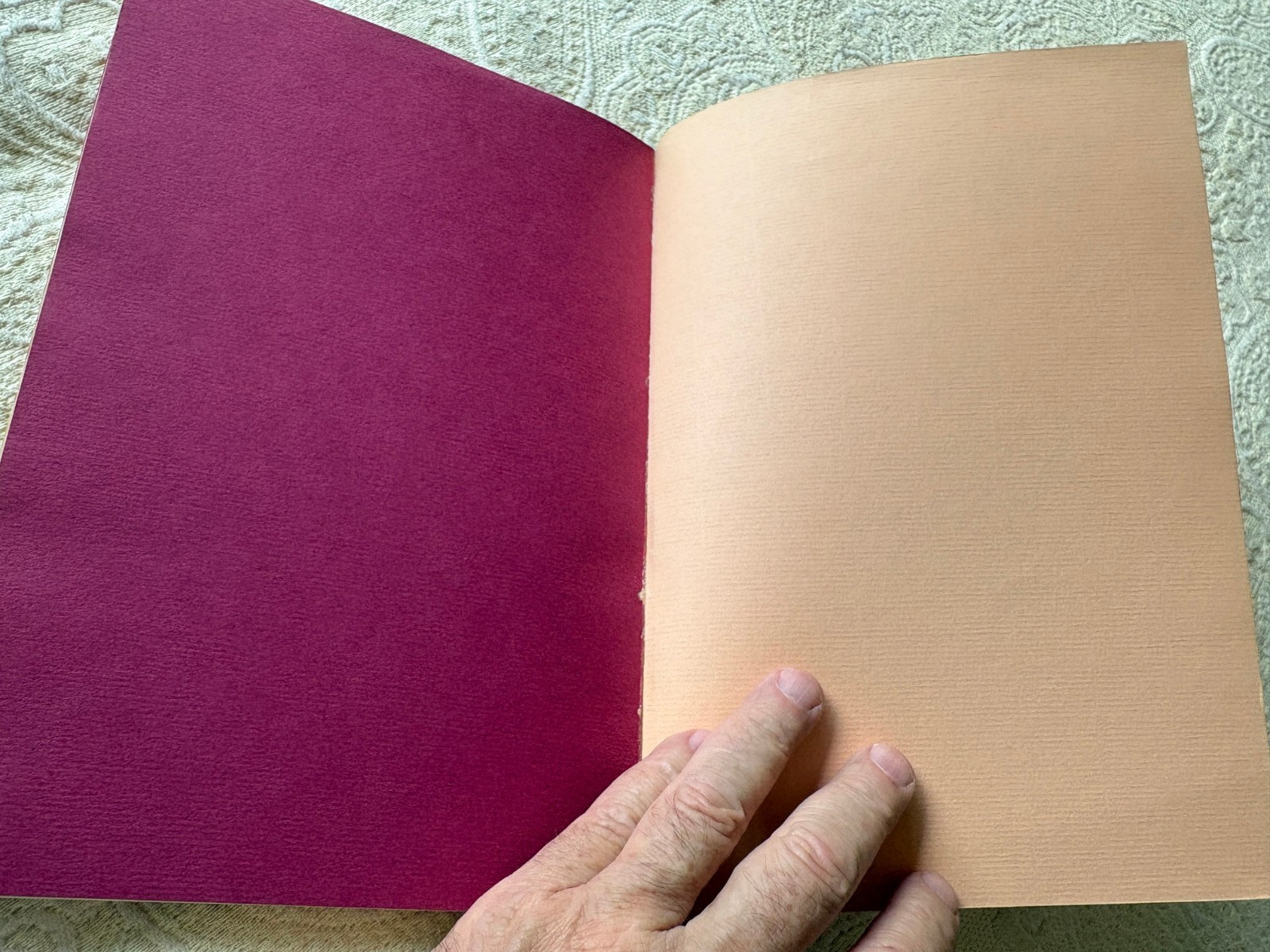 John Ashbery, FRAGMENT, Alex Katz Illustrated, Black Sparrow, LA, 1969, PB 1/750