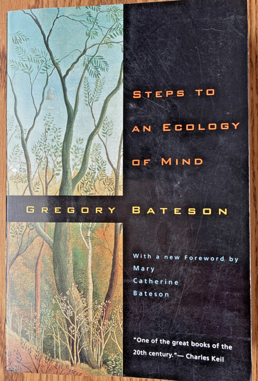 Steps to an Ecology of Mind: Collected Essays in Anthropology, Psychiatry