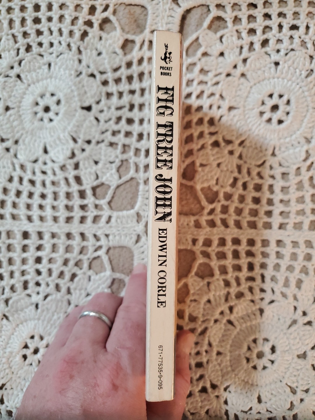 Fig Tree John The Classic Novel by Edwin Corle 1972 Pocket Books 3rd printing VG