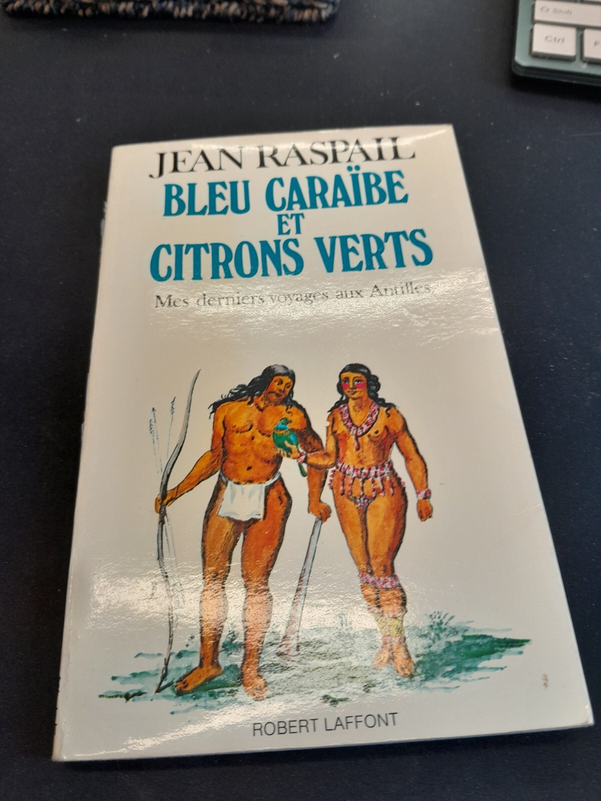 Caribbean Blue And Limes By Jean Raspail