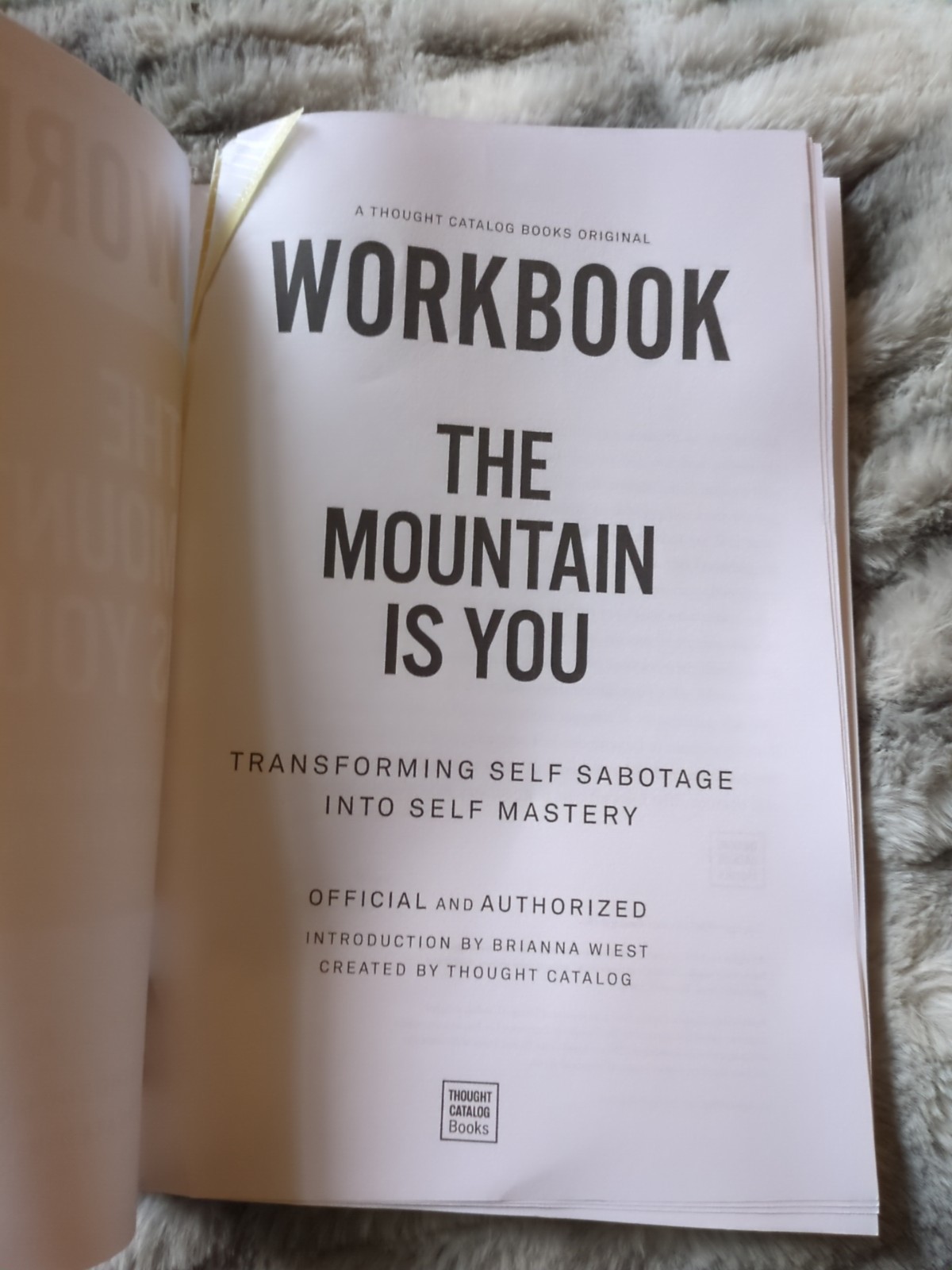 Workbook: The Mountain Is You: Transforming Self Sabotage into Self Mastery