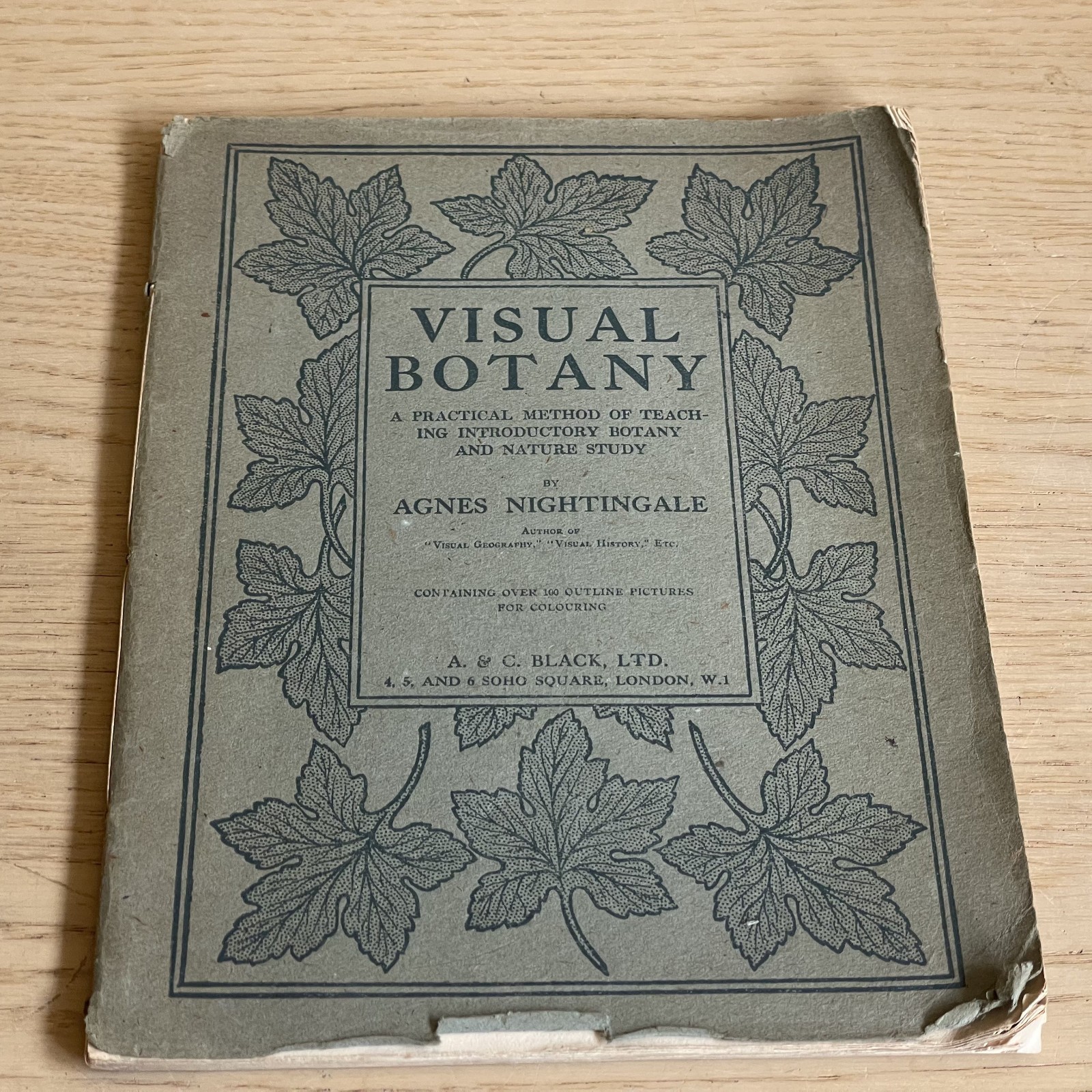 Agnes Nightingale VISUAL BOTANY pb 1921 A & C Black Ltd