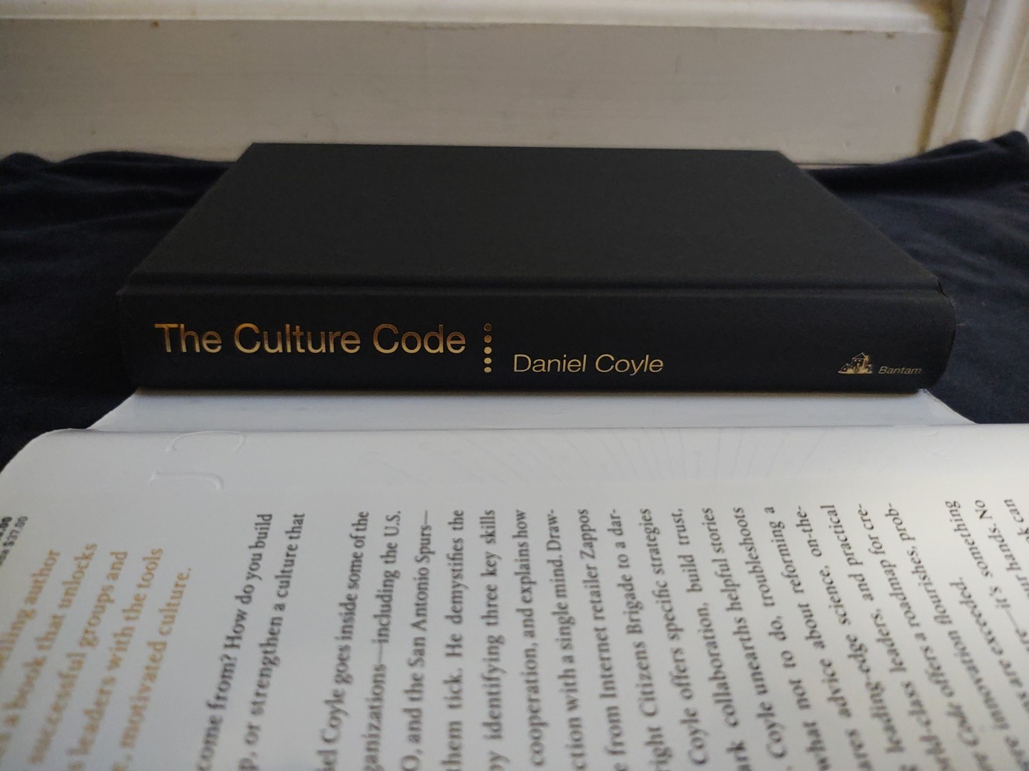 The Culture Code Secrets Of Highly Successful Groups Hardcover Book Daniel Coyle