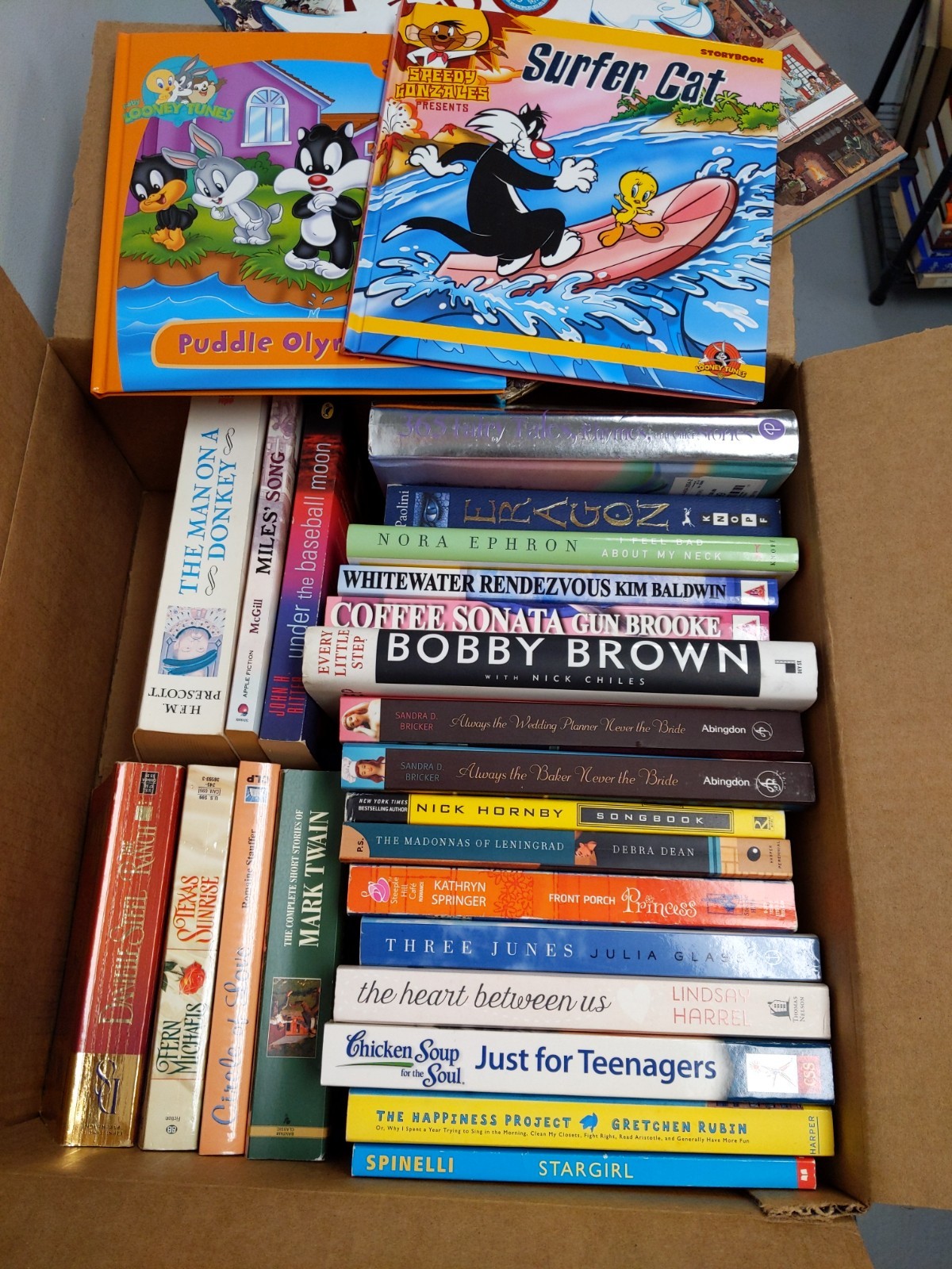Little Free Library Bulk Lot of Books – Mixed Fiction & Nonfiction all Very Good