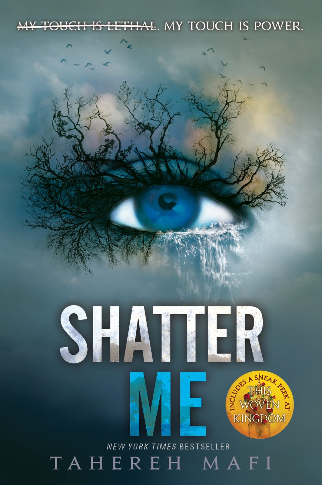 Shatter Me: A Journey of Strength and Rebellion Against a Dictatorship (Shat…
