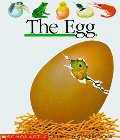 Egg Hardcover Pascale De Bourgoing