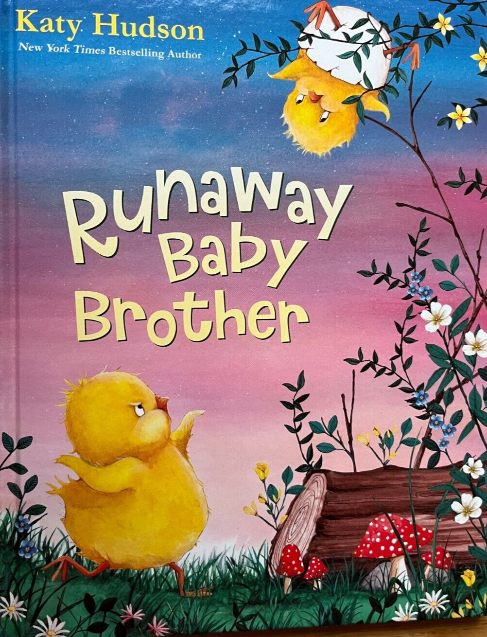 Runaway Baby Brother by Katy Hudson (Hardcover)